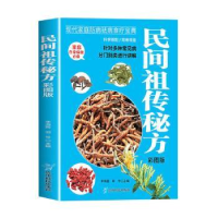 正版新书]民间祖传秘方(彩图版)李海霞,郭号9787553213552