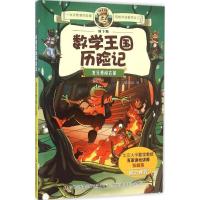 正版新书]数学王国历险记:龙兄勇闯古墓(四色)纸上魔方978755