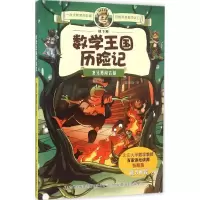 正版新书]数学王国历险记:龙兄勇闯古墓(四色)纸上魔方978755