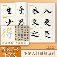 正版新书]智永真书《千字文》入门图解金昊 编9787554030974
