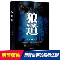 正版新书]狼道金国强9787555711629