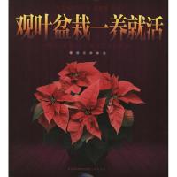 正版新书]观叶盆栽一养就活蒋青海9787553703343