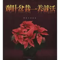 正版新书]观叶盆栽一养就活蒋青海9787553703343