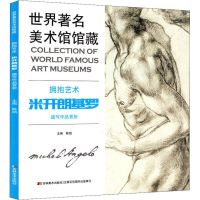 正版新书]世界著名美术馆馆藏 拥抱艺术 米开朗基罗速写作品赏析