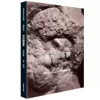 正版新书]米开朗基罗作品赏析-拥抱艺术-世界著名美术馆馆藏鲍海