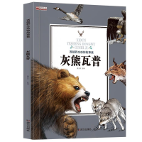 正版新书]灰熊瓦普/西顿野生动物故事集姚忻仪9787558204333