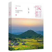正版新书]今日桃源叶梅9787559437754