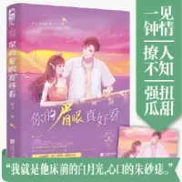 正版新书]你的眉眼真好看淑汀;大鱼文化9787559456410