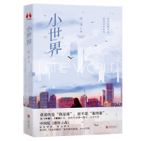 正版新书]小世界汪一洋9787559644954