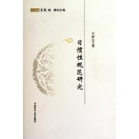 正版新书]习惯性规范研究/民间法文丛王新生|主编:谢晖978756203