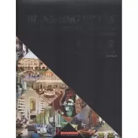 正版新书]臻藏美墅:一府下 一墅一世界DAM工作室9787560993904