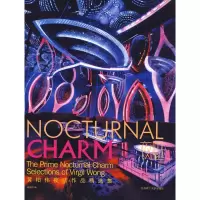 正版新书]夜魅:黄柏伟夜店作品精选集黄柏伟9787561149515