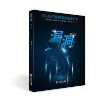 正版新书]漏洞 第2版齐向东9787560890302
