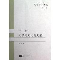 正版新书]宁一中文学与文化论文集/北语学人书系宁一中978756193