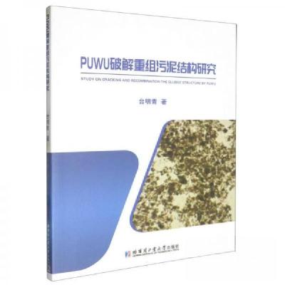 正版新书]PUWU破解重组污泥结构研究台明青9787560389097