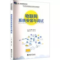 正版新书]物联网系统安装与调试张波涛,黄仁祥 主编 编978756218