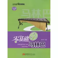 正版新书]零基础学马林巴陈河霖9787562197973