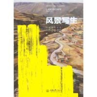 正版新书]风景写生徐江9787562487555