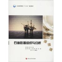 正版新书]石油数据组织与分析袁满9787563651757