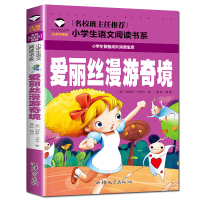 正版新书]名校班主任:少年英雄王二小(英)刘易斯·卡罗尔9787565