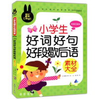 正版新书]炫彩童书(注音)小学生好词好句好段歇后语龚勋 著9787