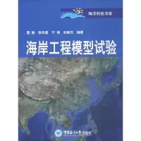 正版新书]海岸工程模型试验董胜 等 编著 著作9787567011939