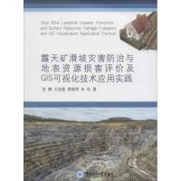 正版新书]露天矿滑坡灾害防治与地表资源损害评价及GIS可视化技