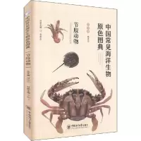 正版新书]中国常见海洋生物原色图典 节肢动物《七彩思维》编委