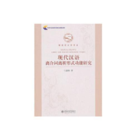 正版新书]功能视角下的现代汉语时间系统研究张存玉,何伟978756