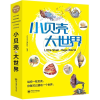 正版新书]小贝壳大世界给你一个贝壳,你就可以撬动一个世界青岛