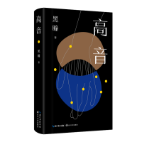 正版新书]高音/黑瞳黑瞳9787570235223