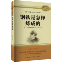 正版新书]钢铁是怎么炼成的 完整版(苏)尼·奥斯特洛夫斯基978757