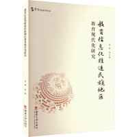 正版新书]教育信息化推进民族地区教育现代化研究徐辉 等 著9787