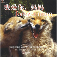 正版新书]我爱你妈妈安妮·霍华德9787802119161