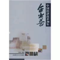 正版新书]中国经济改革30年:企业卷盛毅9787811380415