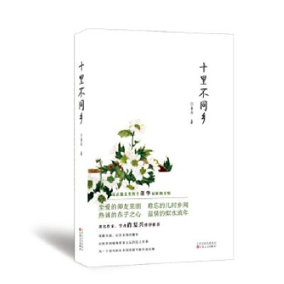 正版新书]十里不同乡董华9787530679968