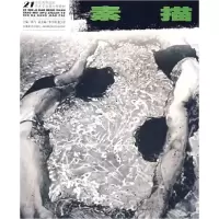 正版新书]素描高飞9787539809298