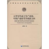 正版新书]大型零售商主导产业链:中国产业转型升级新方向盛朝迅