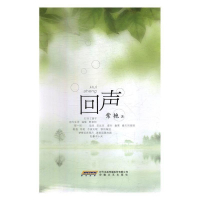 正版新书]回声作者9787539664279