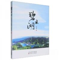 正版新书]碧云湖吴远道9787530687680