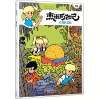 正版新书]杰米历险记 56 有洞的奶酪(比)杰夫·尼斯9787200167818