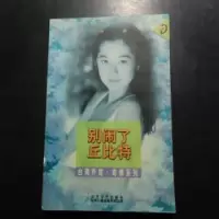 正版新书]别闹了丘比特乔楚著9787531709756