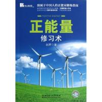 正版新书]正能量修习术:独属于中国人的正能量修炼指南赵辉9787