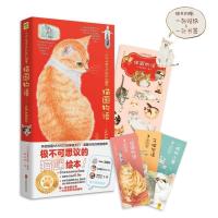 正版新书]猫国物语[日]莫莉蓟野9787559632456