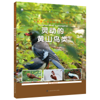 正版新书]灵动的黄山鸟类林清贤,王海婴9787569944631