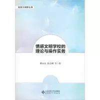 正版新书]情感文明学校的理论与操作实务陈永兵9787303252060