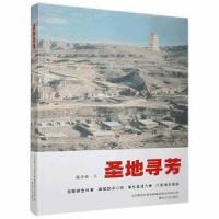 正版新书]圣地寻芳 9787531353348陈齐贵著9787531353348