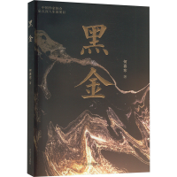 正版新书]黑金何喜东9787531365938