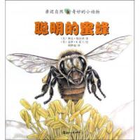 正版新书]聪明的蜜蜂/亲近自然奇妙的小动物(美)琳达·格拉泽|译