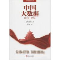 正版新书]中国大数据(2013-2014)连玉明9787515404301